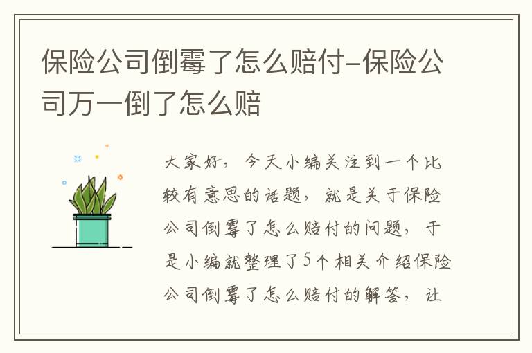 保险公司倒霉了怎么赔付-保险公司万一倒了怎么赔