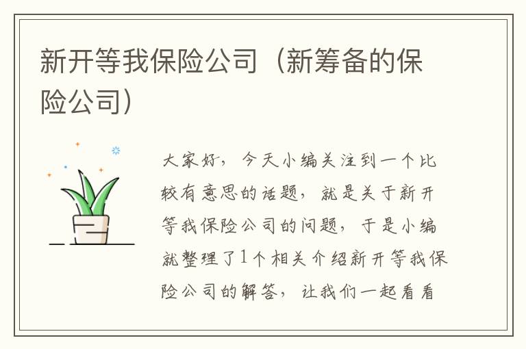 新开等我保险公司（新筹备的保险公司）