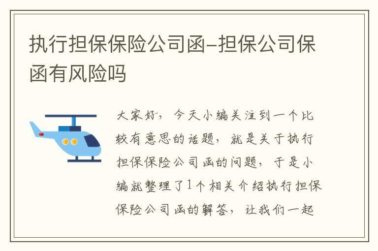 执行担保保险公司函-担保公司保函有风险吗