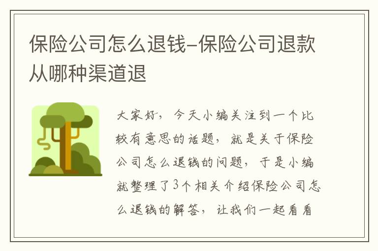 保险公司怎么退钱-保险公司退款从哪种渠道退