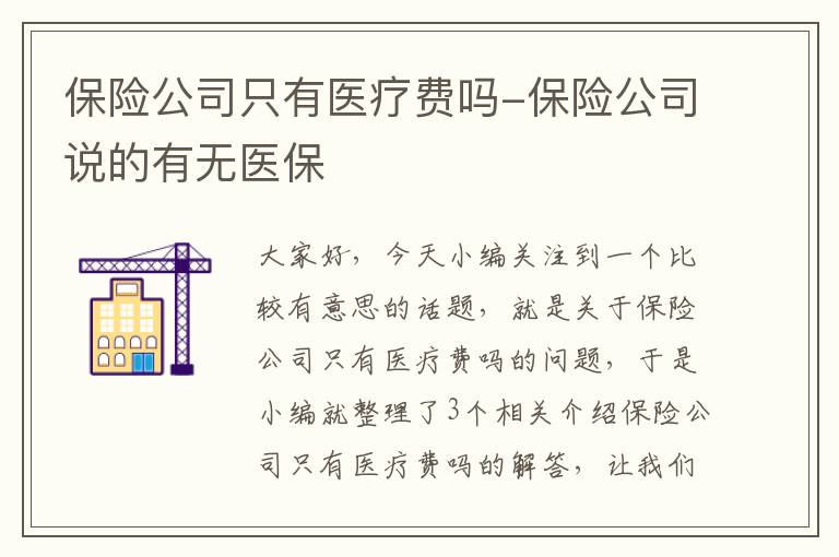 保险公司只有医疗费吗-保险公司说的有无医保