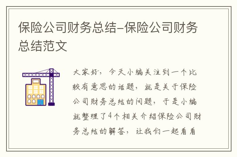 保险公司财务总结-保险公司财务总结范文