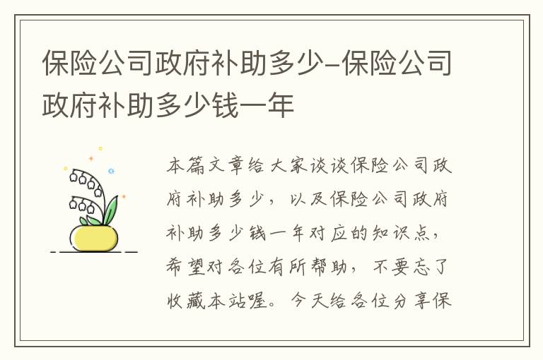 保险公司政府补助多少-保险公司政府补助多少钱一年