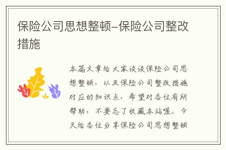 保险公司思想整顿-保险公司整改措施