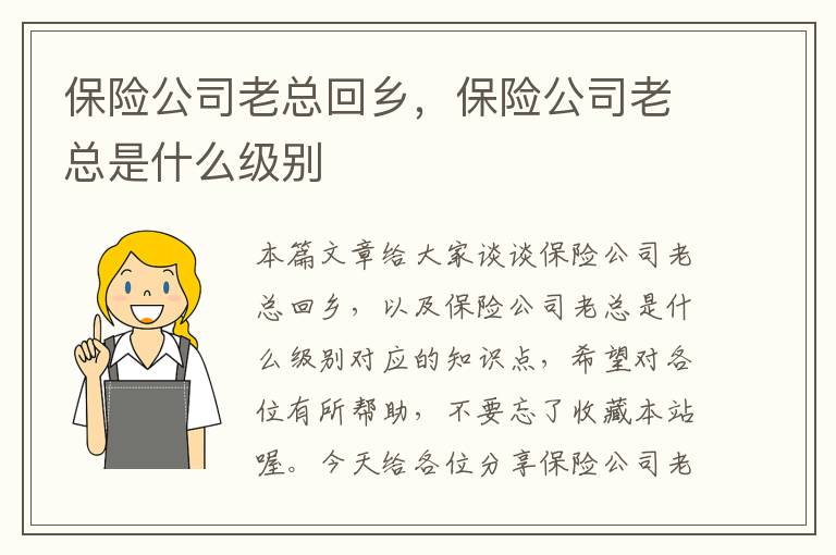 保险公司老总回乡，保险公司老总是什么级别