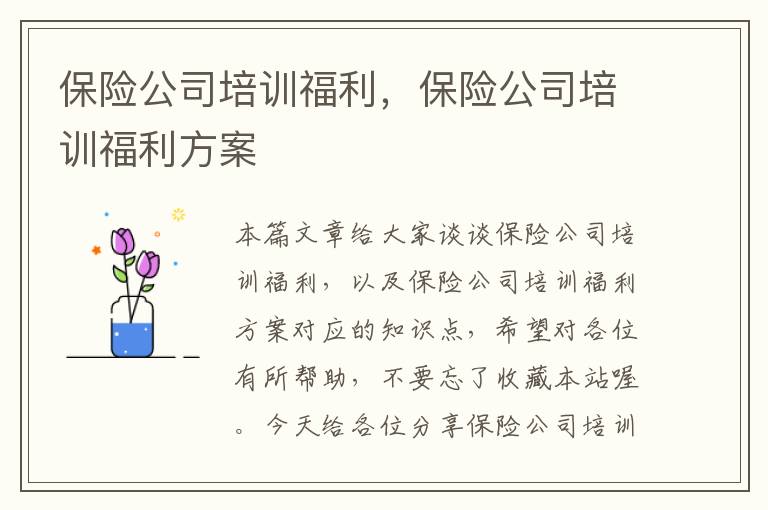 保险公司培训福利，保险公司培训福利方案