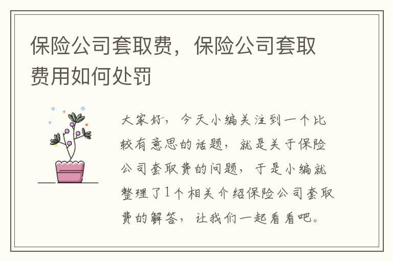 保险公司套取费，保险公司套取费用如何处罚