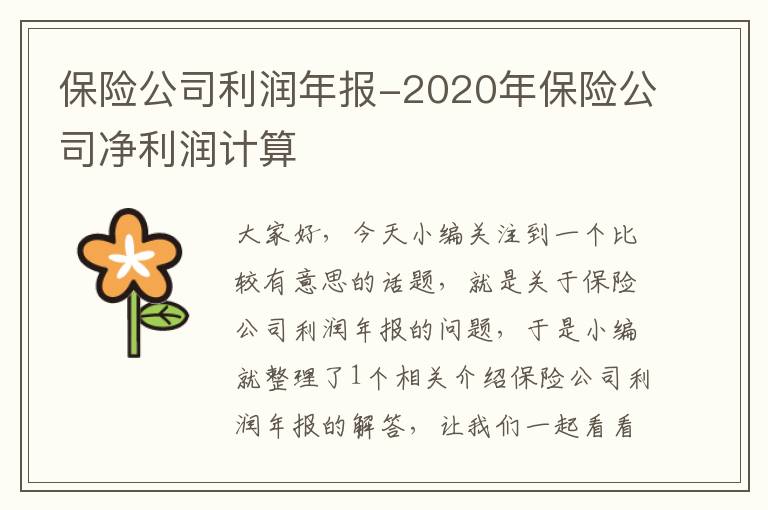 保险公司利润年报-2020年保险公司净利润计算