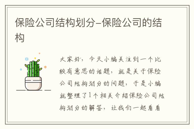 保险公司结构划分-保险公司的结构