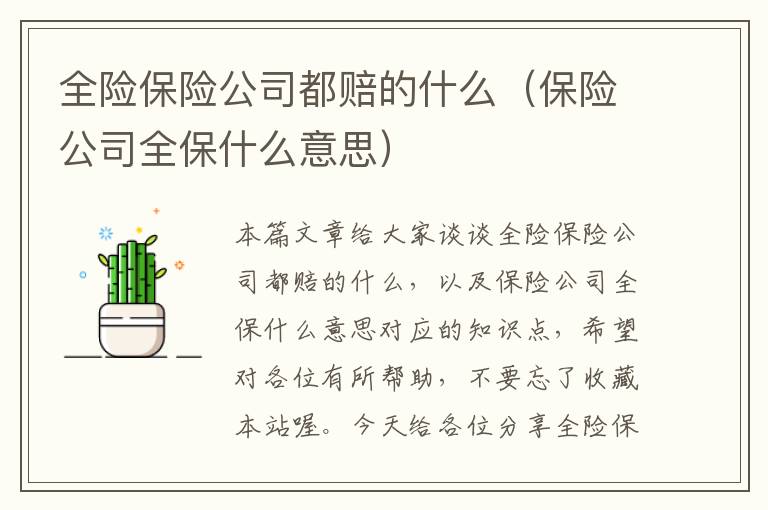 全险保险公司都赔的什么（保险公司全保什么意思）