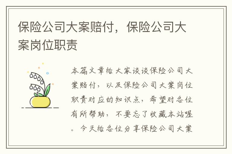 保险公司大案赔付，保险公司大案岗位职责