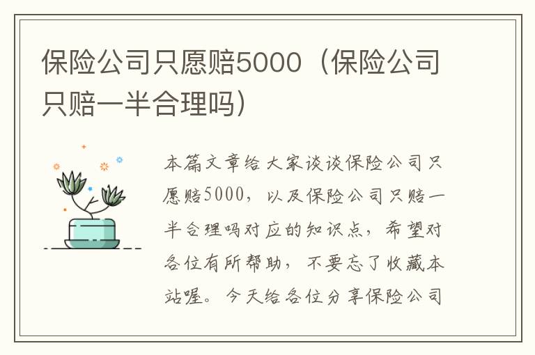 保险公司只愿赔5000（保险公司只赔一半合理吗）