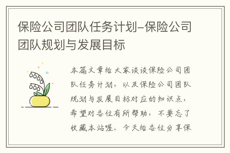 保险公司团队任务计划-保险公司团队规划与发展目标