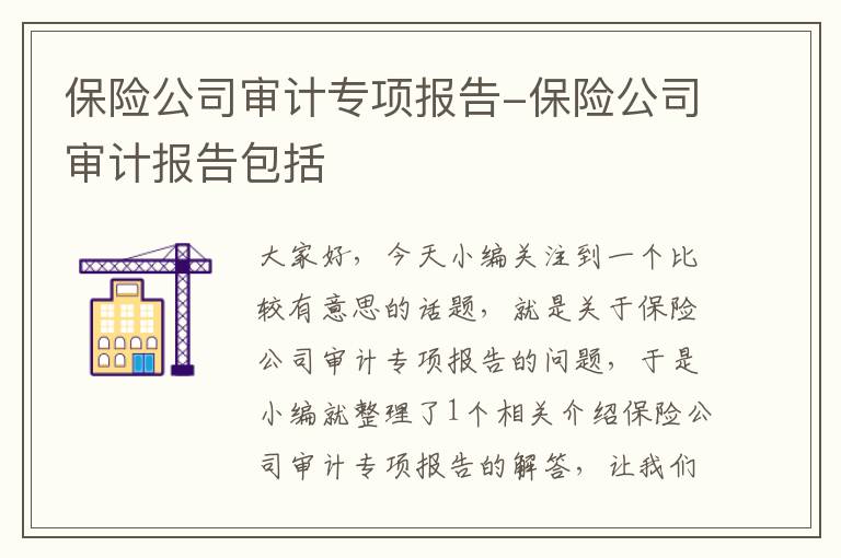 保险公司审计专项报告-保险公司审计报告包括