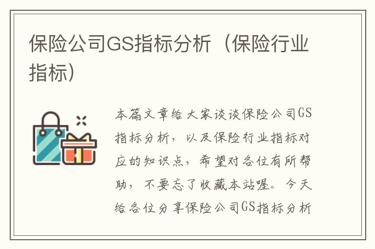 保险公司GS指标分析（保险行业指标）