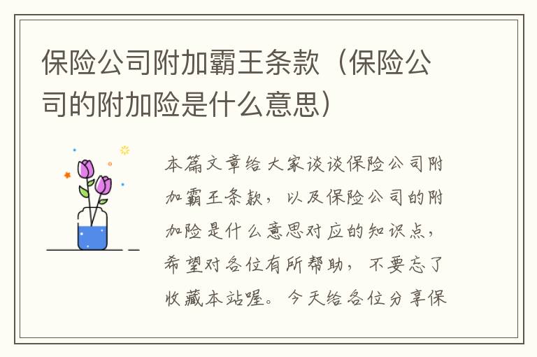 保险公司附加霸王条款（保险公司的附加险是什么意思）