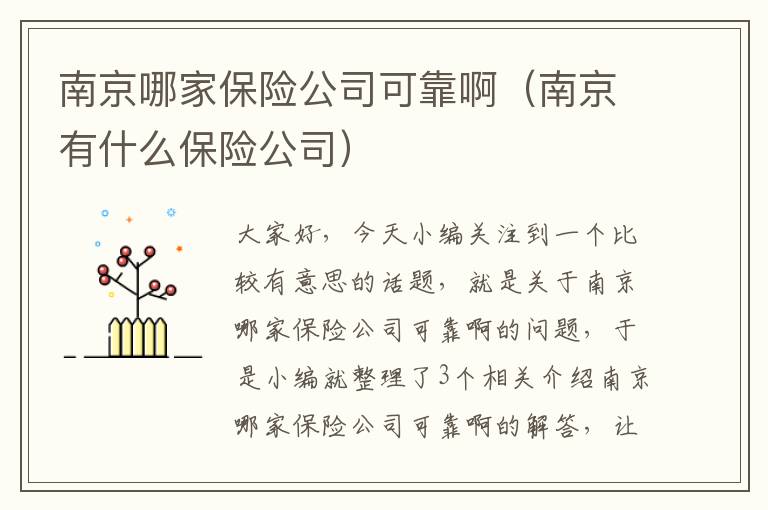 南京哪家保险公司可靠啊（南京有什么保险公司）