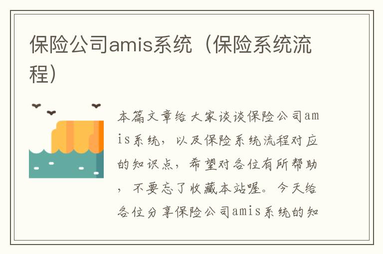 保险公司amis系统（保险系统流程）