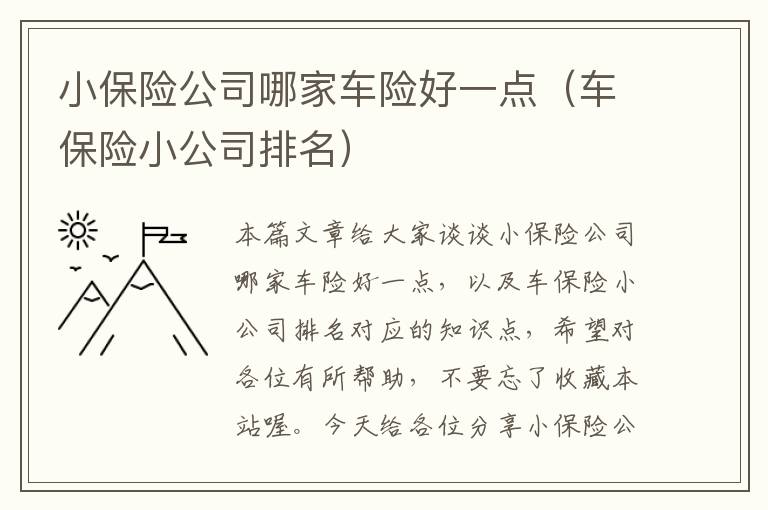 小保险公司哪家车险好一点（车保险小公司排名）