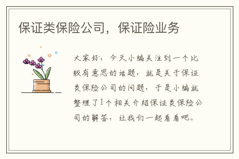 保证类保险公司，保证险业务