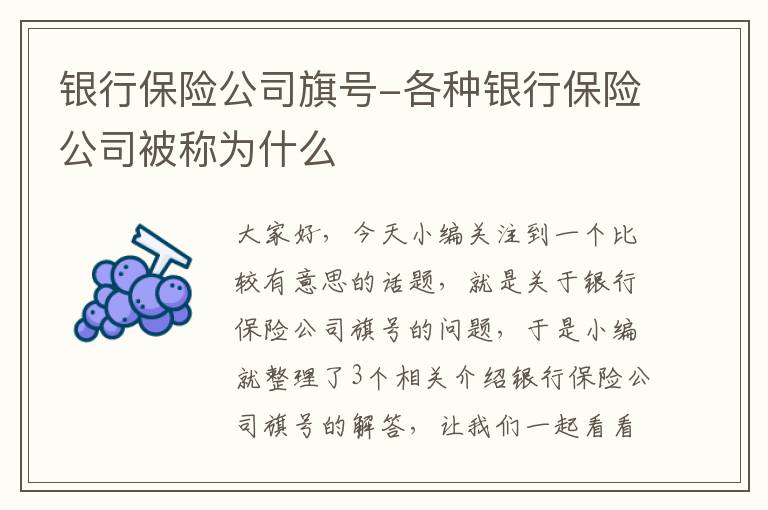 银行保险公司旗号-各种银行保险公司被称为什么