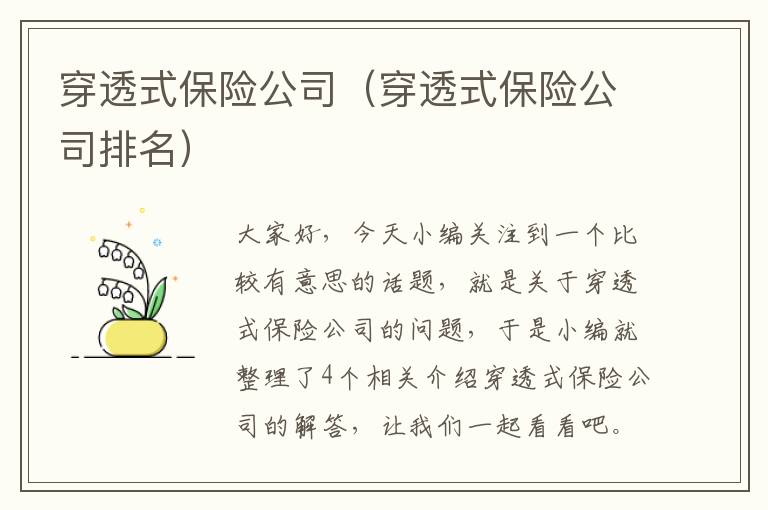 穿透式保险公司（穿透式保险公司排名）