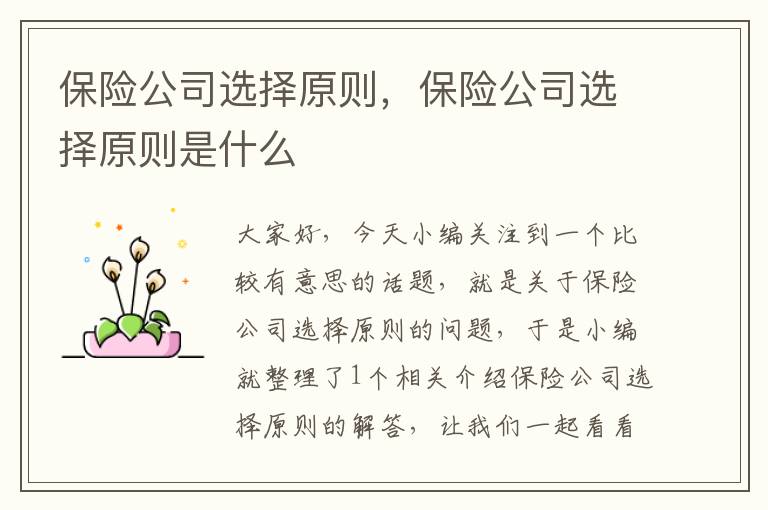 保险公司选择原则，保险公司选择原则是什么