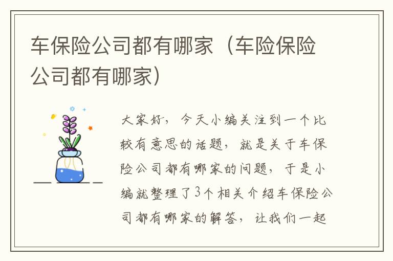 车保险公司都有哪家（车险保险公司都有哪家）