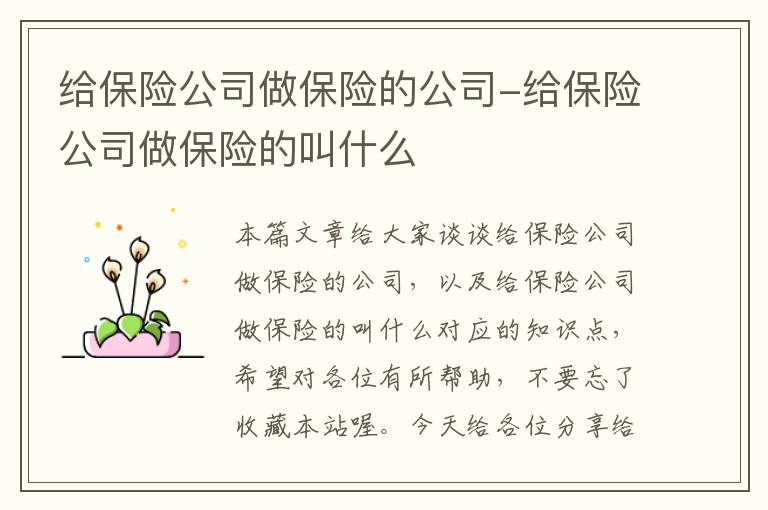 给保险公司做保险的公司-给保险公司做保险的叫什么