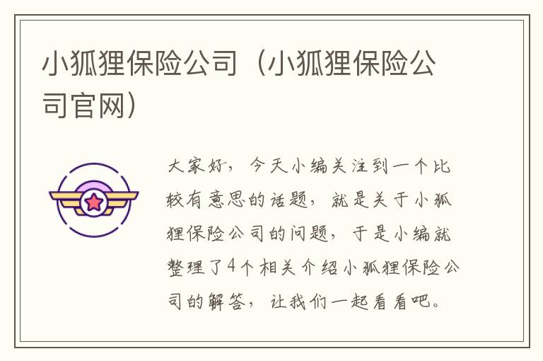 小狐狸保险公司（小狐狸保险公司官网）