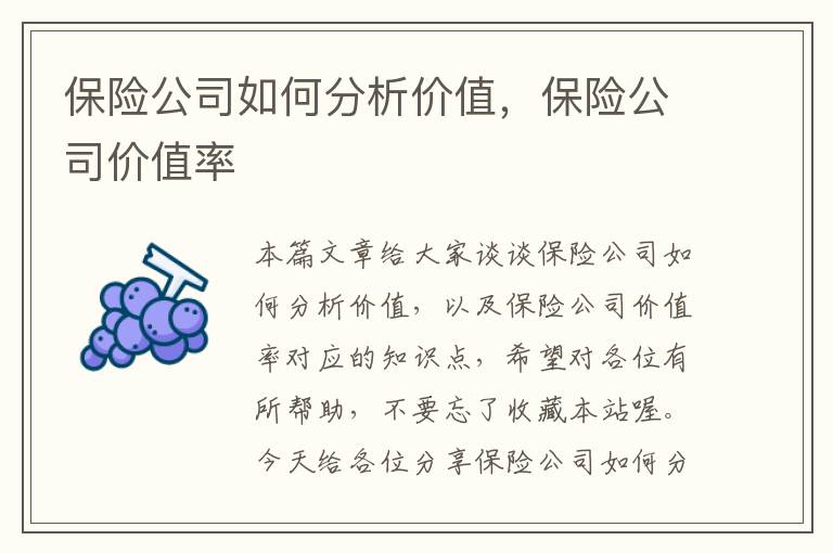 保险公司如何分析价值，保险公司价值率