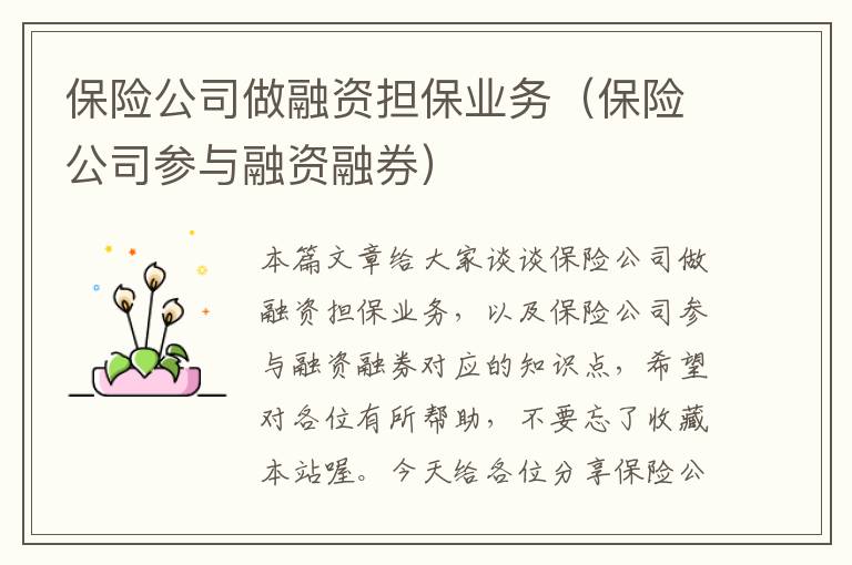 保险公司做融资担保业务（保险公司参与融资融券）