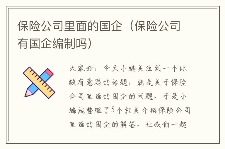 保险公司里面的国企（保险公司有国企编制吗）