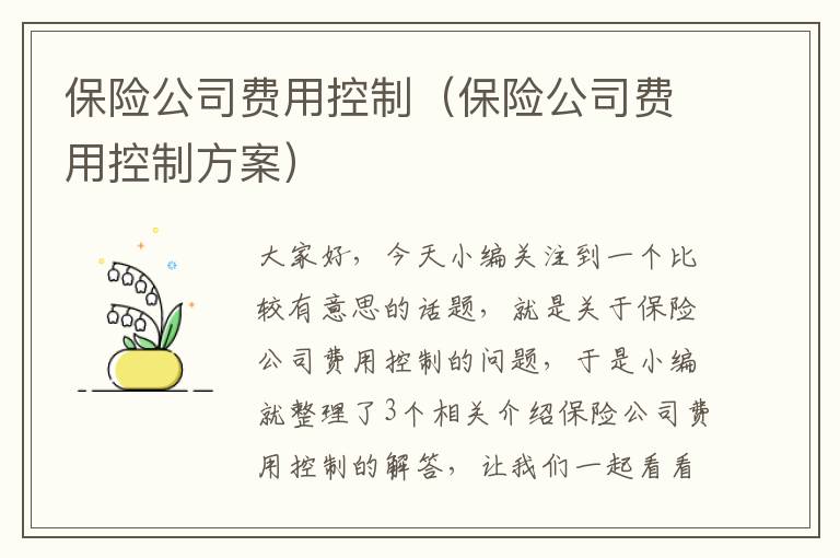 保险公司费用控制（保险公司费用控制方案）