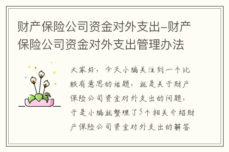 财产保险公司资金对外支出-财产保险公司资金对外支出管理办法