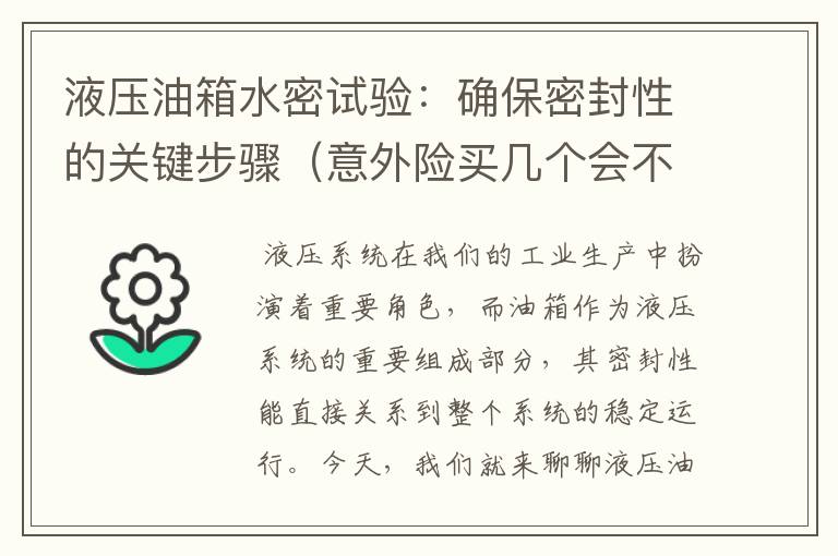 液压油箱水密试验：确保密封性的关键步骤（意外险买几个会不会有冲突）