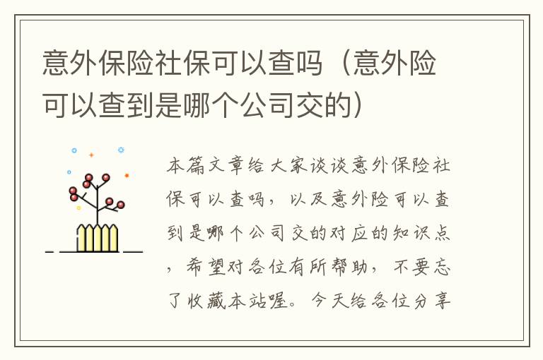 意外保险社保可以查吗（意外险可以查到是哪个公司交的）