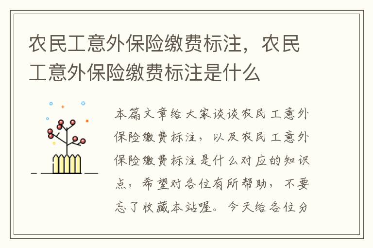 农民工意外保险缴费标注，农民工意外保险缴费标注是什么