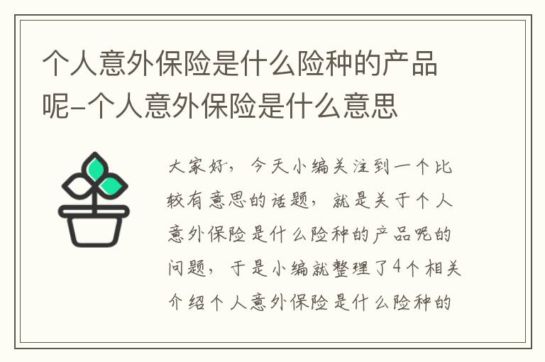 个人意外保险是什么险种的产品呢-个人意外保险是什么意思