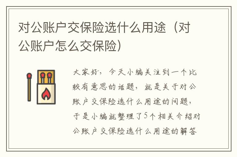 对公账户交保险选什么用途（对公账户怎么交保险）