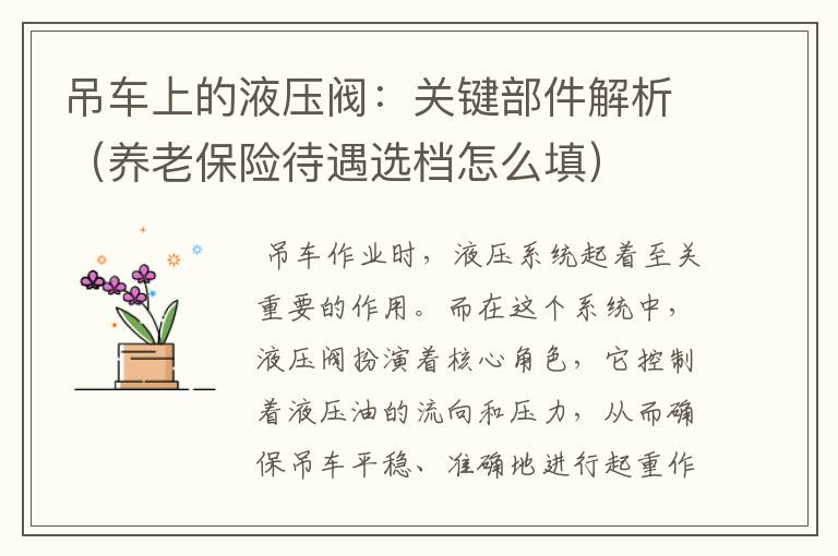 吊车上的液压阀：关键部件解析（养老保险待遇选档怎么填）