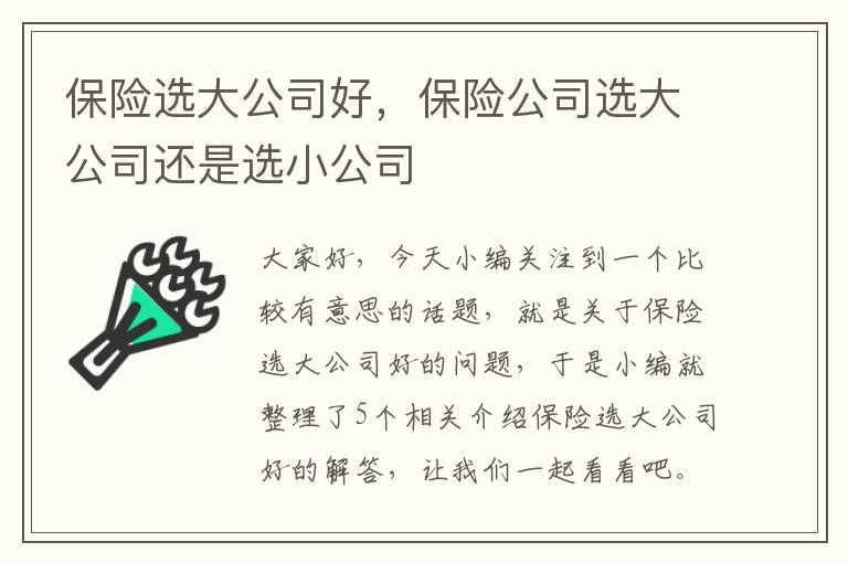 保险选大公司好，保险公司选大公司还是选小公司