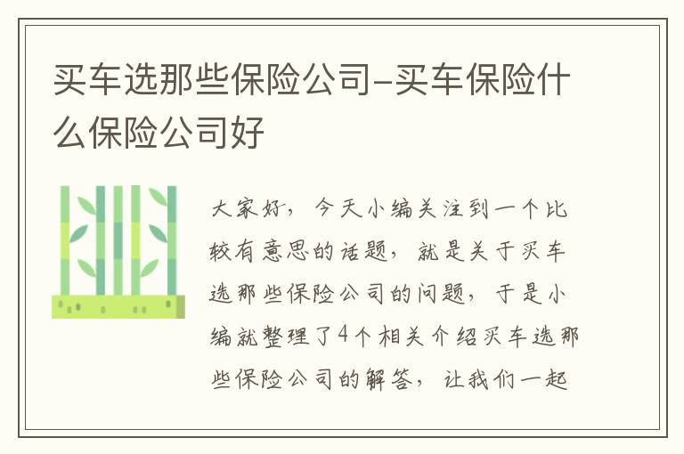 买车选那些保险公司-买车保险什么保险公司好