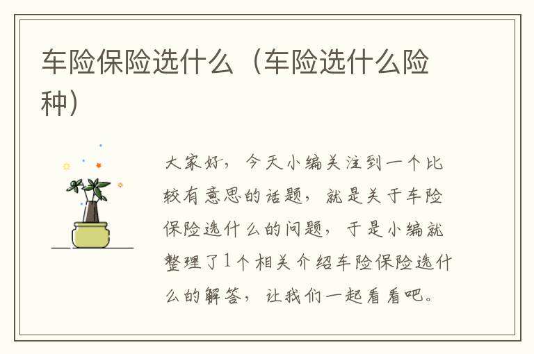 车险保险选什么（车险选什么险种）