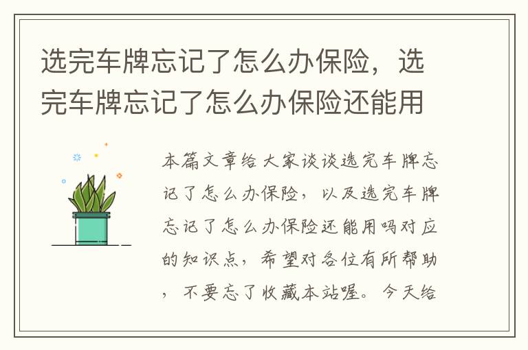 选完车牌忘记了怎么办保险，选完车牌忘记了怎么办保险还能用吗