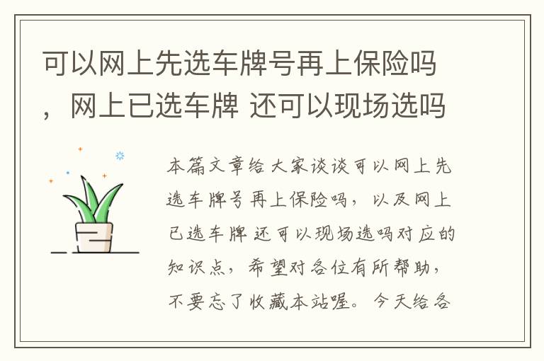 可以网上先选车牌号再上保险吗，网上已选车牌 还可以现场选吗