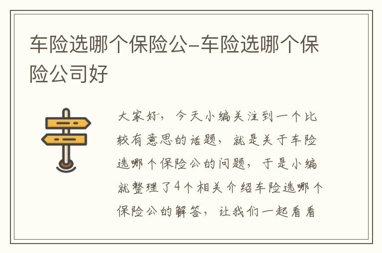 车险选哪个保险公-车险选哪个保险公司好