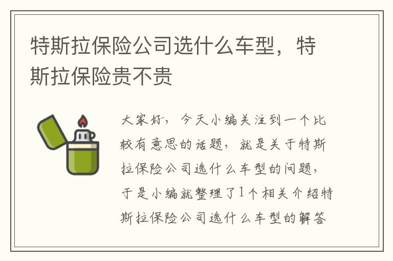 特斯拉保险公司选什么车型，特斯拉保险贵不贵