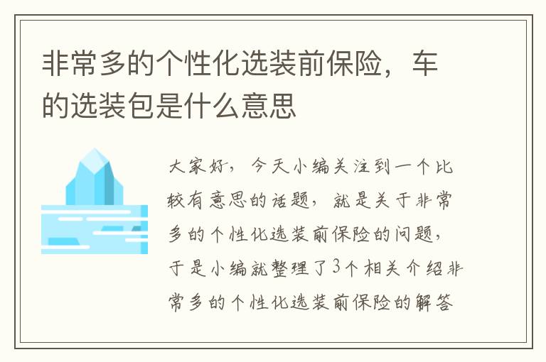 非常多的个性化选装前保险，车的选装包是什么意思