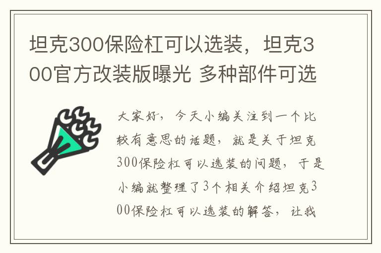 坦克300保险杠可以选装，坦克300官方改装版曝光 多种部件可选装